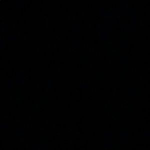 Meet your Posher, Terry